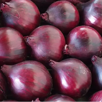 Magnate / Магнат