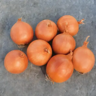 Mondella / Монделла