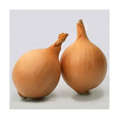 Montana / Монтана