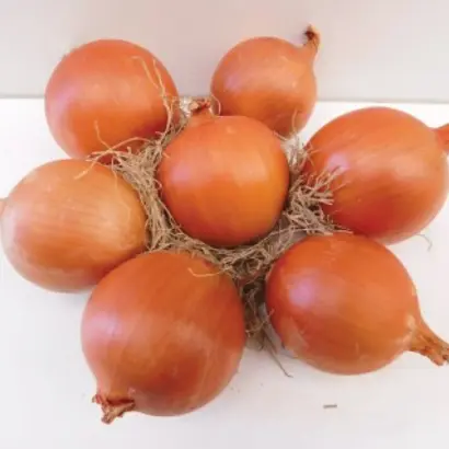 Oloroso / Олоросо