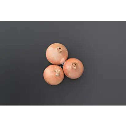 Oneida / Онеіда