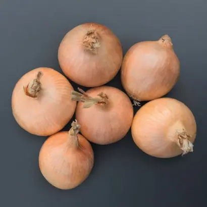 Orlenda / Орленда