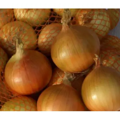 Panther / Пантер