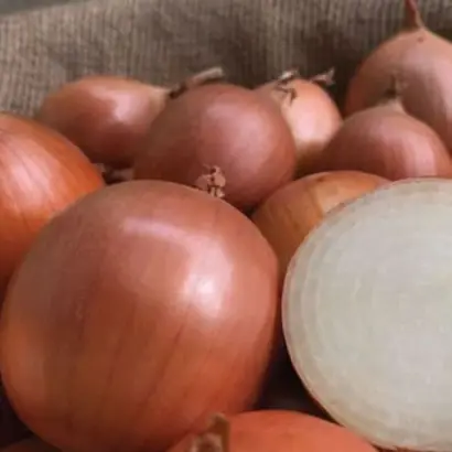 PX 07713119 / ПХ 07713119