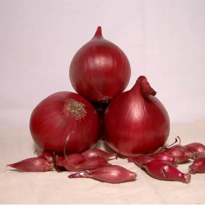 Red Baron / Ред Барон