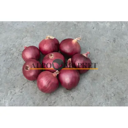 Red Bull F1 / Ред Булл F1