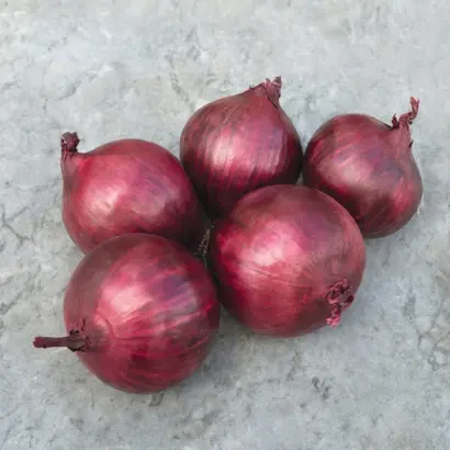 Red Rum F1 / Ред Рум F1