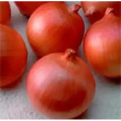 Red Spring / Ред Спрінг