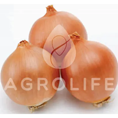 Sandra / Сандра