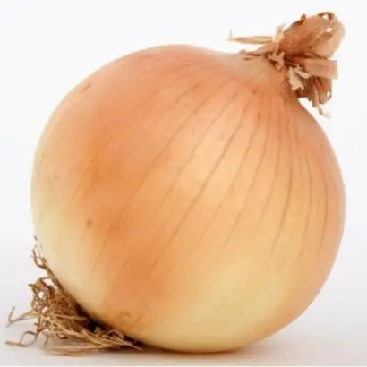 Saratoga / Саратога