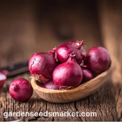 Skarlet / Скарлет