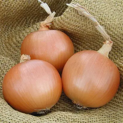 Sonoma / Сонома