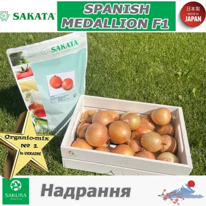 Spanish Medallion / Спеніш Медальйон