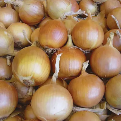 Starter / Стартер