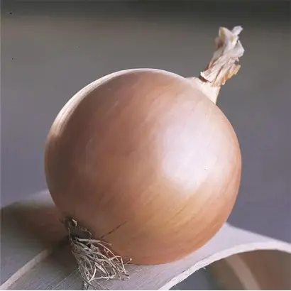 Thunderstone / Тандерстоун