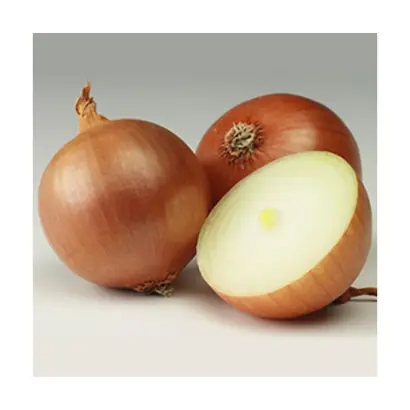 Triumf / Тріумф