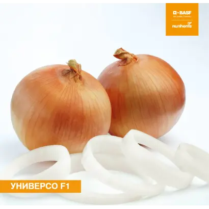 Universo / Універсо