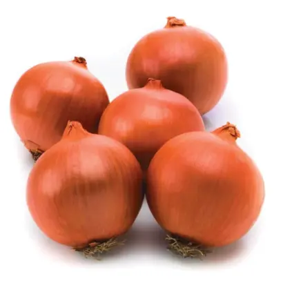 Fundador / Фундадор