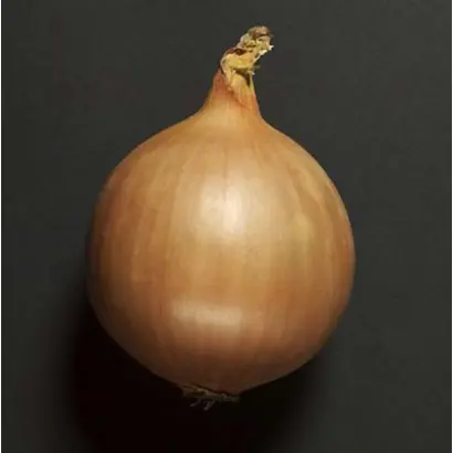 Centro / Центро