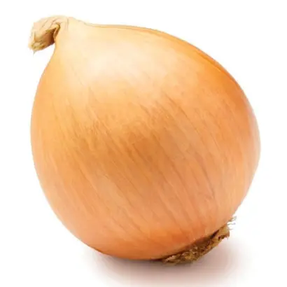 Centurion F1 / Центуріон F1