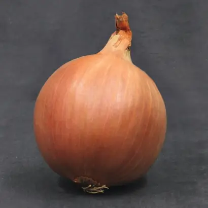 Sherman F1 / Шерман F1