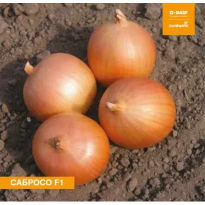 Sabroso / Cабросо