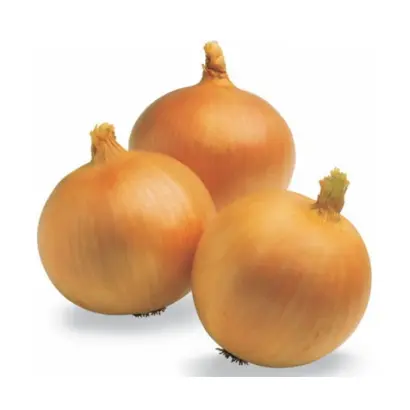 Golden Spike / Голден Спайк