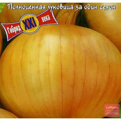 Copra F1 / Копра F1