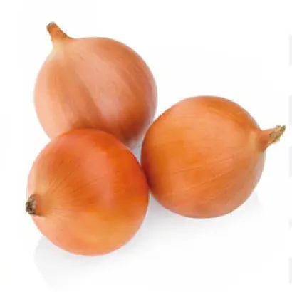 Masilla F1 / Мазіла F1