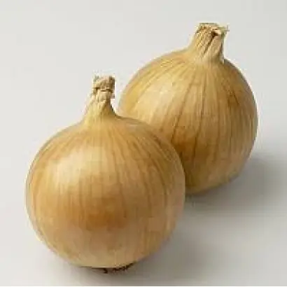 Nerato F1 / Нерато F1