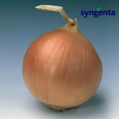 Mundial F1 / Мундіал F1