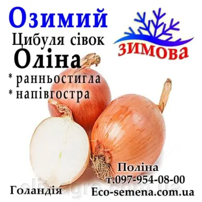 Олина / Оліна