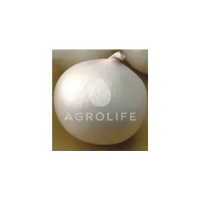 Orizaba F1 / Орізаба F1