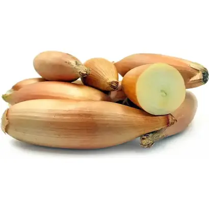 Topolska / Топольська