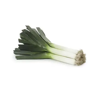 Matejko / Матейко