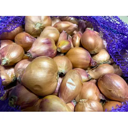 Кущевка местная / Кущівка місцева