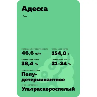 Adessa / Адесса