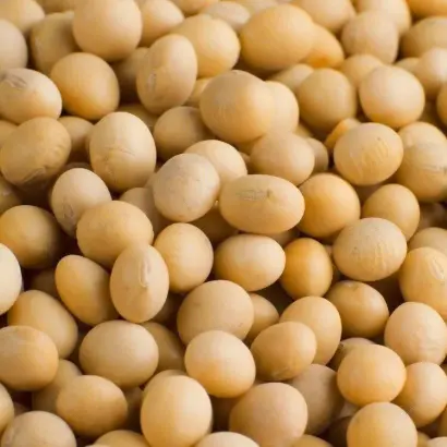 Altona / Алтона