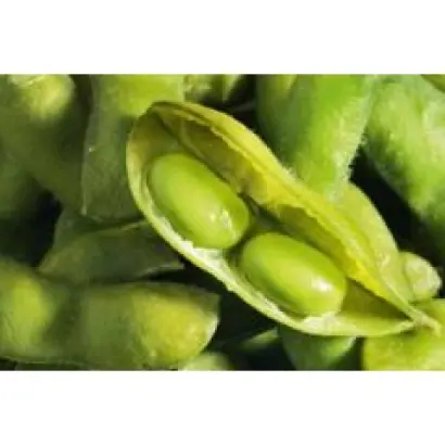 Діадема Поділля