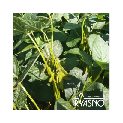 ES GOVERNOR / ЕС ГОВЕРНОР