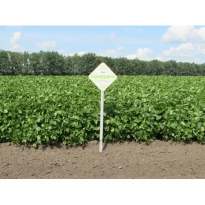 Изумрудная / Ізумрудна