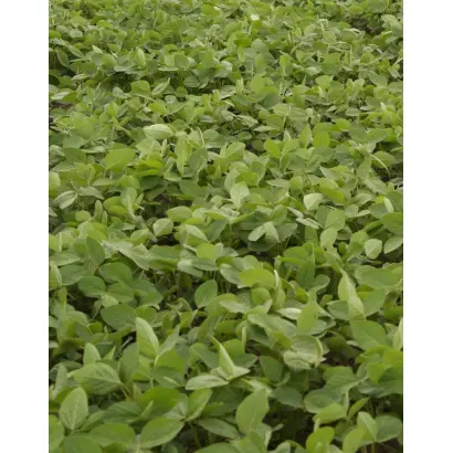 LISSABON / ЛІССАБОН