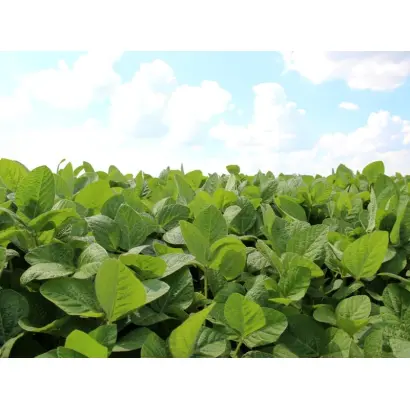 Mercur / Меркур