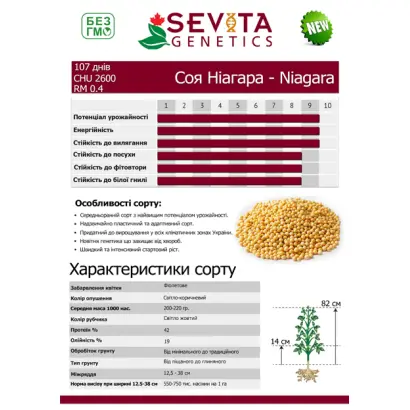 Niagara / Ніагара