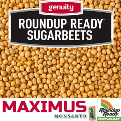 NS Maximus / НС Максимус