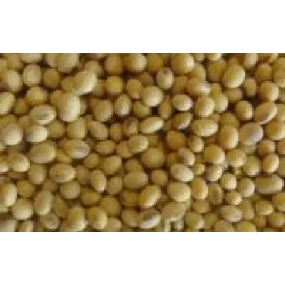 Newport / Ньюпорт