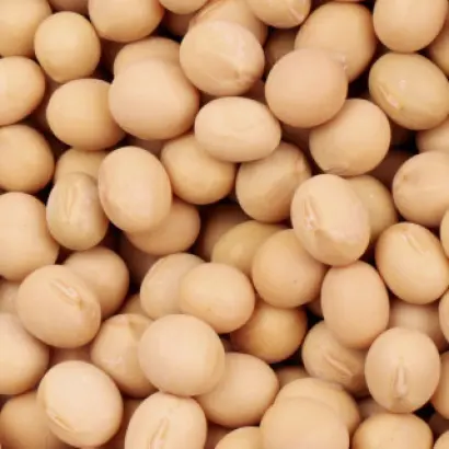 OAC Kamran / ОАЦ Камран