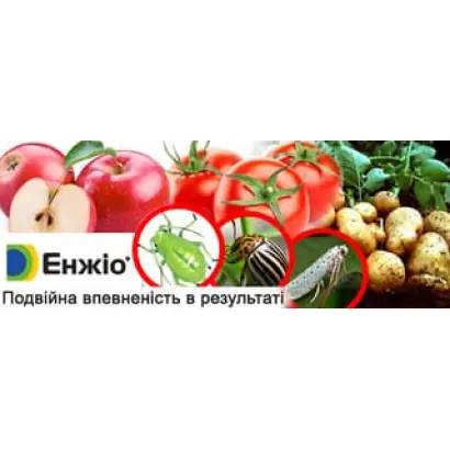 OAC Madoc / ОАЦ Медок