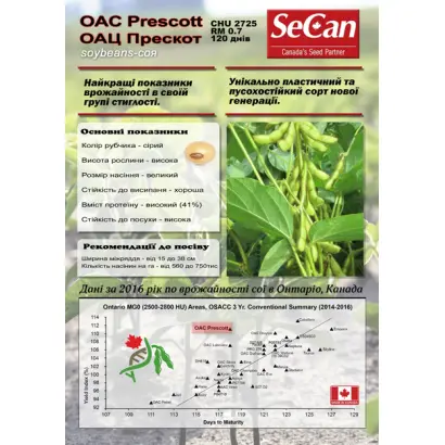 OAC Prescott / ОАЦ Прескот