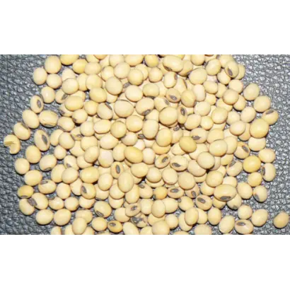 Riverton / Рівертон